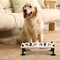 Stable Anti-Tip Raised Dog Cat Bowl Stand, Detachable Stainless Steel Double Bowl Elevated Pet Feeding Station